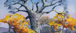 Baobab & Mopani Trees, Kruger Park | 2019 | Oil on Canvas | 36 x 51 cm